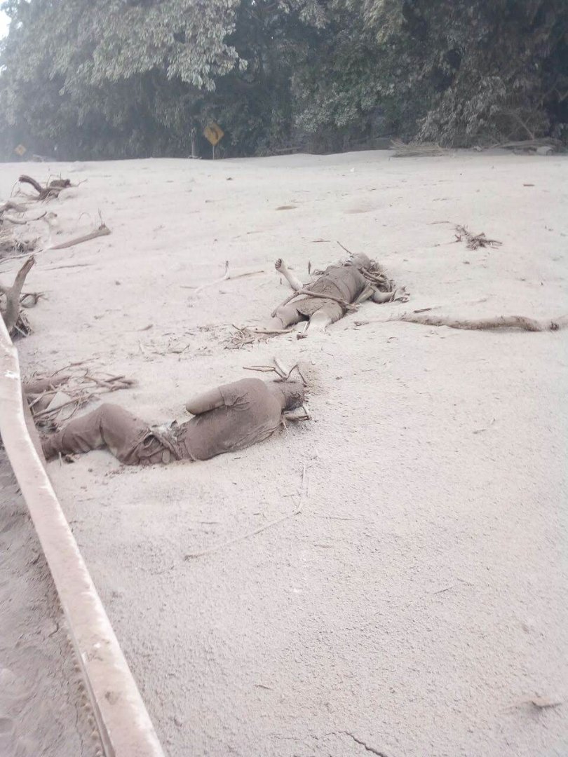 Víctimas mortales encontradas en San Miguel Los Lotes.
Fotografía por Bomberos Municipales Departamentales E-02